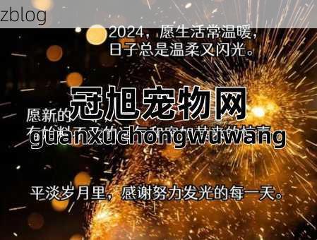 文案2024最火文案短(  怎样才能让你的文案脱颖而出)