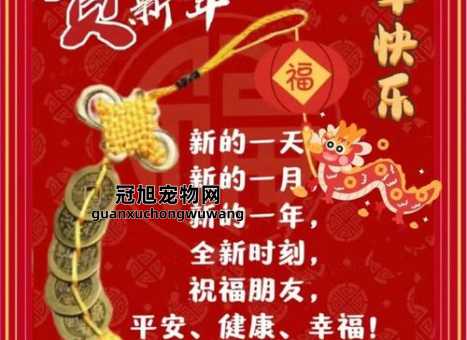 2024龙年祝福语押韵(你最想许什么愿)