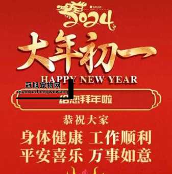 2024龙年祝福语押韵(你最想许什么愿)