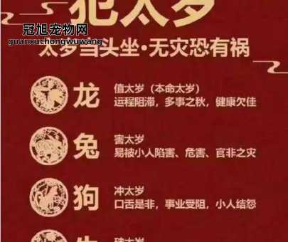 2024破太岁怎么化解(真的能化解厄运吗)