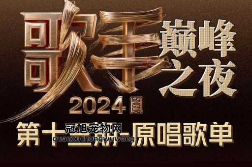 2024有好听的歌吗(超好听的歌单快来收藏)