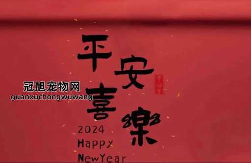 2024许愿的唯美句子(还是幸福满溢)