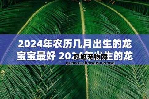 2024几月龙最有福气(几月生最聪明)