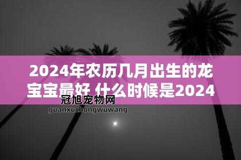 2024几月龙最有福气(几月生最聪明)