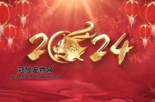 2024龙年是什么年庚(它到底有什么特别之处)