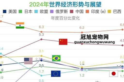 2024年全球经济形势(我们该如何抓住机遇)