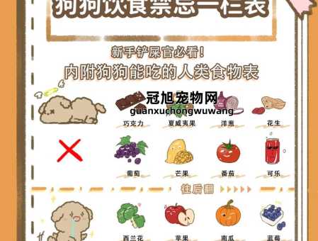 萨摩耶犬不能吃的8种食物(小心狗狗拉肚子)