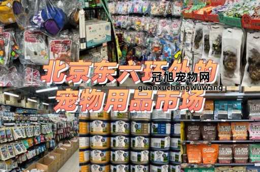 沈阳宠物用品十大批发市场(到底哪个最便宜)