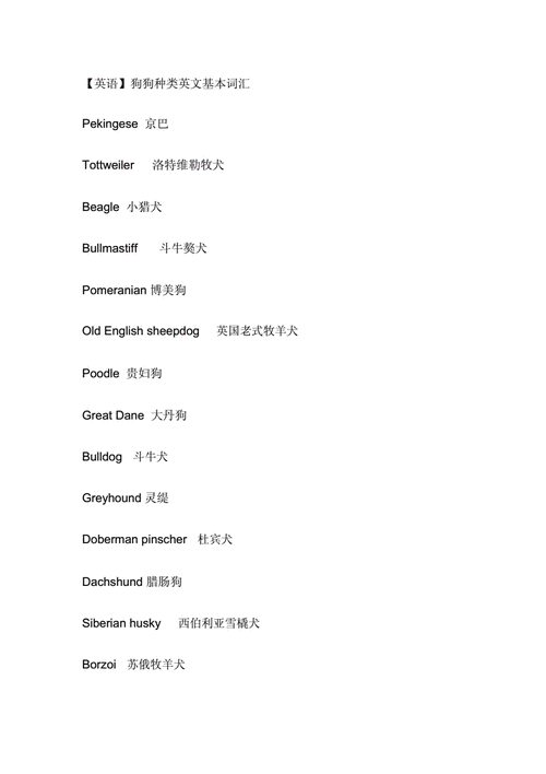 狗狗英文名字大全洋气可爱(还是新颖独特的)