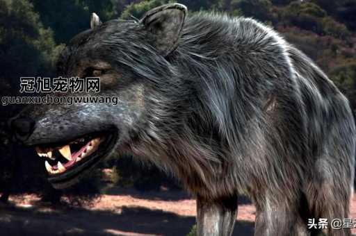 世界猛犬排行榜前100名(它们会咬死一头狼)