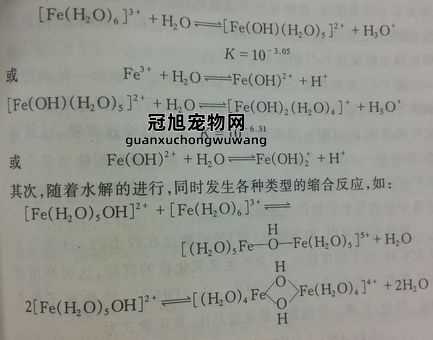 hcl除铁锈的化学方程式(  化学方程式是什么)