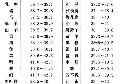 哺乳动物的特征(它们是怎么保持体温的)