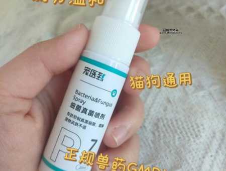 宠物狗商城：万种狗狗用品，轻松选购，安心保障