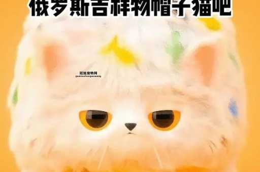 俄罗斯猫的神秘文化与吉祥象征