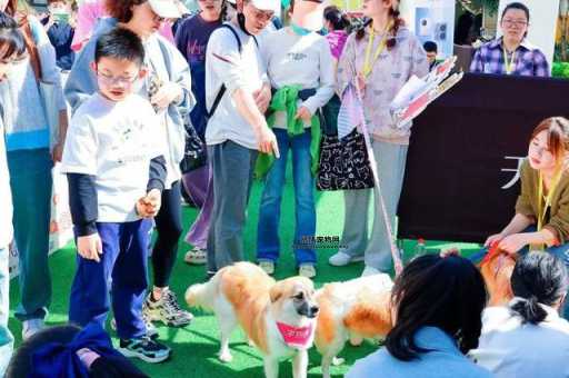 石家庄宠物友好指南：带宠物逛商场的最佳去处