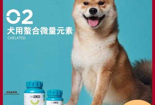 宠物狗价格表：热门犬种报价，快速了解泰迪、金毛等价格趋势