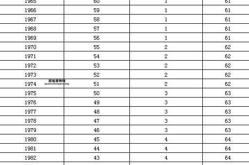 1975年出生者2025年退休政策详解：是否会受延迟影响？