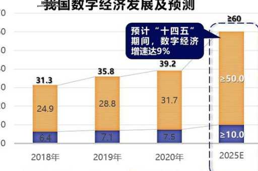 [2025年预言解析：数字经济与未来社会变革]