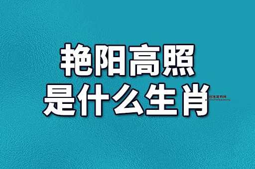 艳阳高照代表哪个生肖？深入解读与之相关的生肖寓意