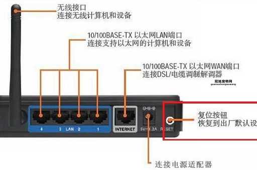 猫与路由器连接教程：一步步教你轻松上网