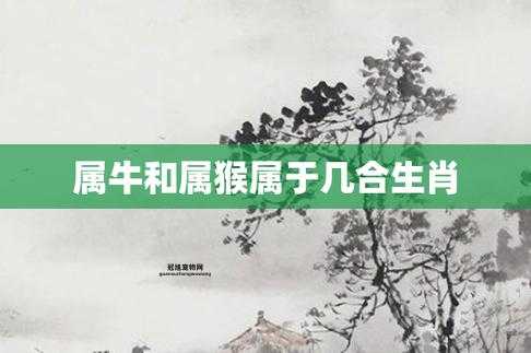 属猴、属牛2025年结婚最佳时机，五大生肖婚运分析