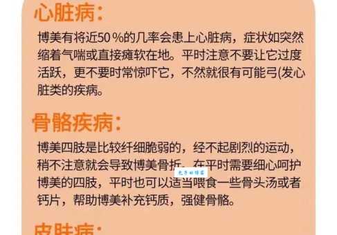 博美犬美容教程，手把手教你打造漂亮狗狗