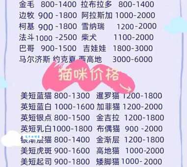 最近金毛多少钱一只？2024年最新金毛价格行情