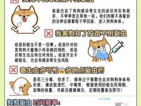 宠物店驱虫多少钱？不同地区、不同宠物价格有差异