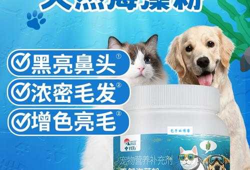 猫咪美毛粉怎么选？这款天然海藻粉让猫咪毛发柔顺有光泽