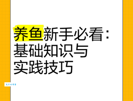 接吻鱼怎么养？新手也能轻松学会的养鱼技巧！