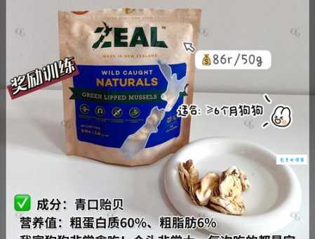 博美犬吃什么零食合适？健康美味的零食推荐！