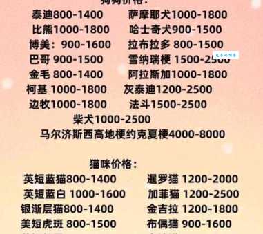 哈士奇多少钱一只？这几种价格千万要记住！