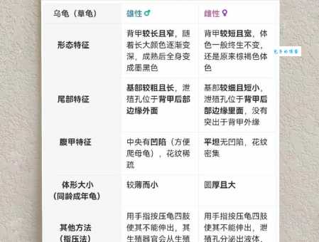 想知道乌龟怎么分公母？这篇文章告诉你答案！