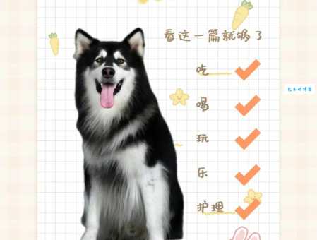 想买阿拉斯加犬？阿拉斯加犬多少钱一只必看！