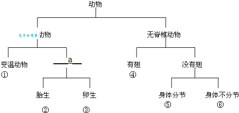 天下一家解什么动物？原来是这个意思啊！