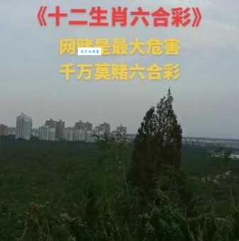 倚马七纸猜一生肖是什么动物？谜底揭晓！