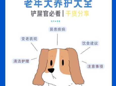 卡南犬的寿命有多长？如何让你的狗狗更长寿？