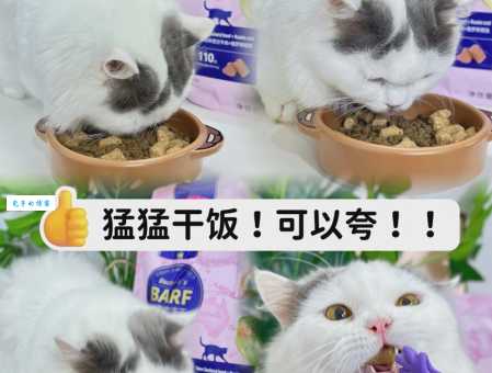 猫吃鱼会卡刺吗？如何避免猫咪吃鱼被卡刺呢？