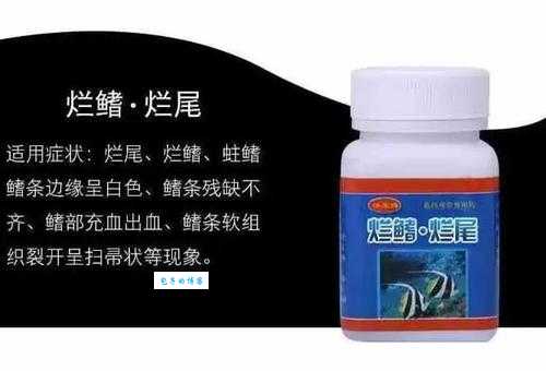 金鱼身上长白点严重吗？不同情况的处理方法都在这！