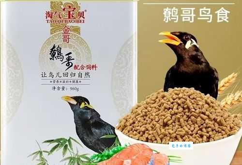 鹩哥吃什么？这几种食物你家鹩哥可能喜欢吃！