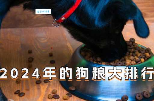 沙克犬吃什么狗粮？铲屎官教你科学喂养！