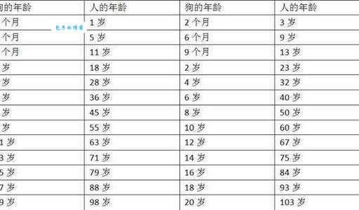 狗的寿命一般多长？影响狗狗寿命的因素！