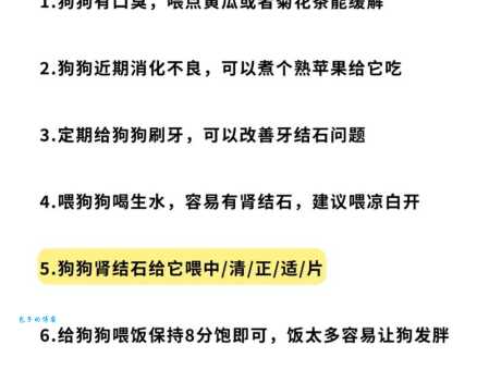 哈士奇喂养的注意事项！这些坑你一定要避开！