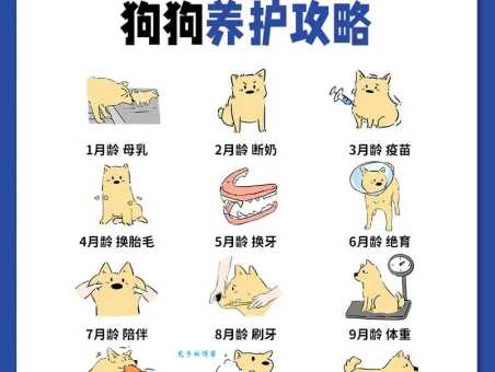 英国激飞猎犬好养吗？新手饲养攻略看这篇！