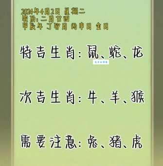 矮小精悍打一最佳生肖是什么？答案揭秘啦！