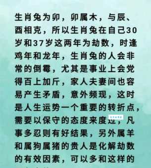 鸡飞狗跳是什么生肖？原来是这些人在搞鬼！