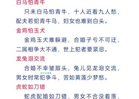 哪些生肖喜欢旁门左道？这篇文章告诉你答案！