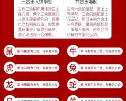 子午相冲是什么生肖？这篇告诉你答案别错过！