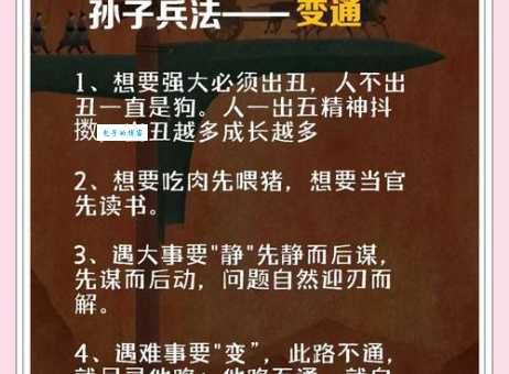 孙子兵法藏胸中最准生肖是哪个？答案万万没想到！