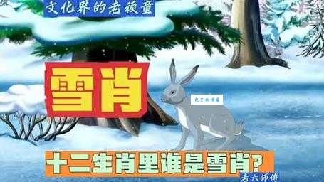 冰天雪地是什么生肖？盘点那些耐寒的生肖！